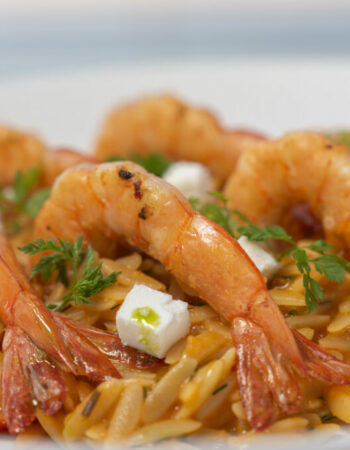 Paralos Kosta Alimia