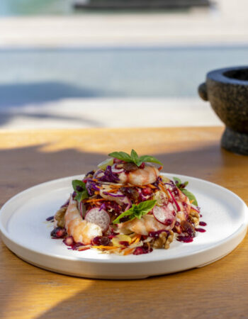 Paralos Kosta Alimia